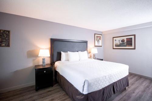 a large bed in a hotel room with two lamps at Carradoc Hall Hotel & Conference Center by The Red Collection in Leesburg