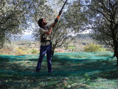 a man is hanging from a tree branch at Pontet-Fronzèle agrotourisme ecologique, maison d'hôtes & Spa in Lagorce