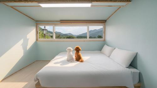 カピョンにあるGapyeong Dongban84 Glamping&Pool villaの窓を見下ろすベッドに座る犬2匹