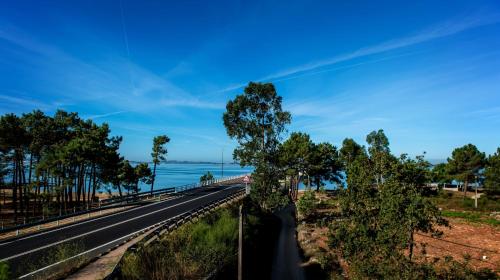a road with trees on the side of the road at Hotel Dinajan in Villanueva de Arosa