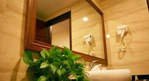 uma casa de banho com um lavatório, um espelho e uma planta em Duy Anh Hotel em Hải Dương