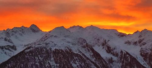 Příroda nedaleko apartmánu