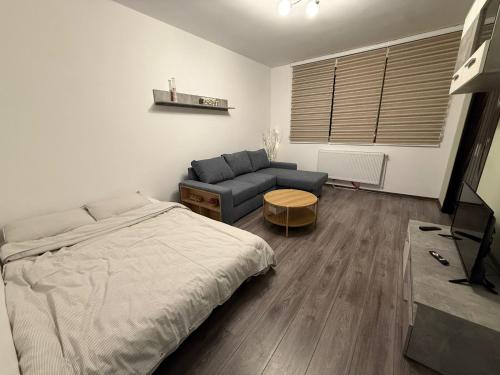 TV o dispositivi per l'intrattenimento presso Straja Mountain Escape