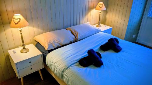 ルションにあるAppartement 6 pers allée d étignyのベッドルーム1室(枕2つ、ランプ2つ付)