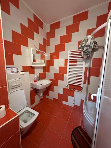 een badkamer met een rode en witte geruite muur bij Apartman Ranija in Rožaje