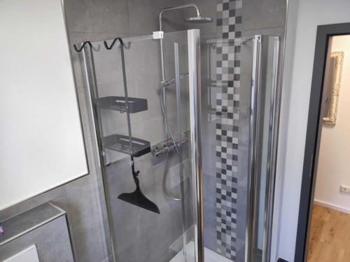 una doccia con una porta in vetro in un bagno di Caro´s Landblick a Marktleugast