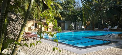 Swimmingpoolen hos eller tæt på Papaya Hikkaduwa