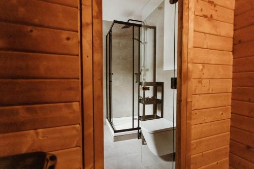 a bathroom with a toilet and a glass shower at Harzchalet Brockenbahn 2A in Elend