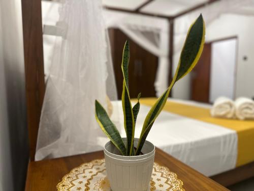een plant in een pot zittend op een tafel bij Villa A7 in Ahangama