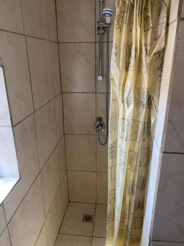 een douche met een douchegordijn in de badkamer bij Infinity farm in Riversdale