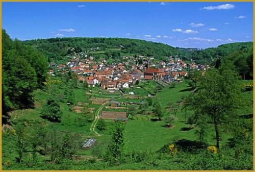 Gîte avec sauna في Soucht: مدينة صغيرة في حقل أخضر مع أشجار