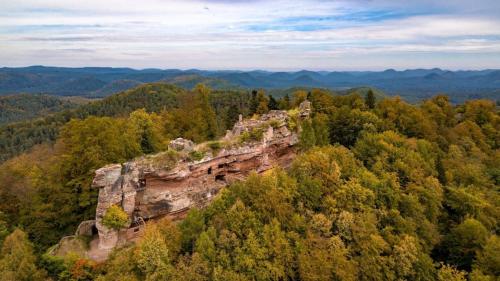 Gîte avec sauna في Soucht: تشكيل صخري في وسط غابه