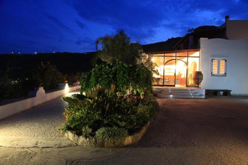 a house with a large plant in front of it at Hotel Villa Enrica - Aeolian Charme in Lipari