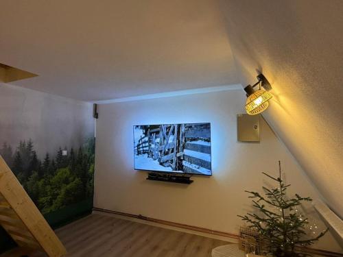 TV o dispositivi per l'intrattenimento presso Wild Hill Apuseni