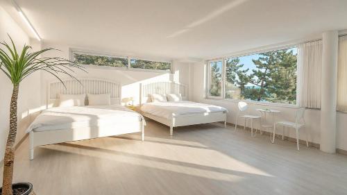 ein weißes Schlafzimmer mit 2 Betten und einer Palme in der Unterkunft Samcheok Migaloo Pool Villa Pension in Samcheok