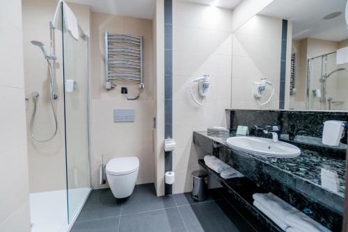 La salle de bains est pourvue d'un lavabo, de toilettes et d'une douche. dans l'établissement Holiday Inn Dąbrowa Górnicza-Katowice, an IHG Hotel, à Dąbrowa Górnicza