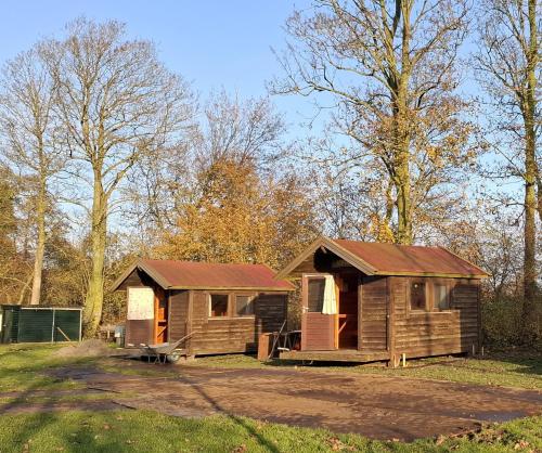 a small wooden cabin in a field with trees at Camping Boetn Toen Pieterburen in Pieterburen