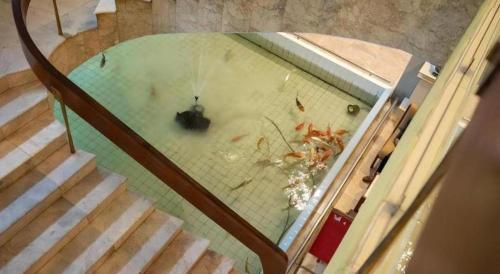 a spider in the middle of a glass floor at Wangtai Hotel in Surat Thani