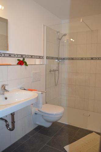 a bathroom with a toilet and a shower and a sink at Gasthaus Augenstein in Winzer