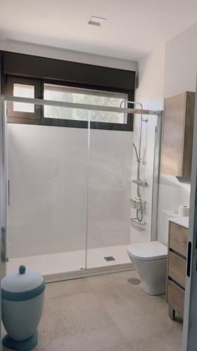 a bathroom with a shower and a toilet and a sink at Casa Las Fatiguitas al lado de Torrijos y muy cerca de Toledo y de Puy du Fou in Caudilla