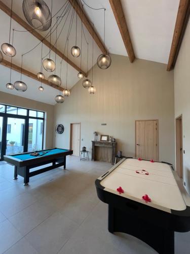 ズワールムにあるHof van Vlaanderenのビリヤード台付きの広い客室です。