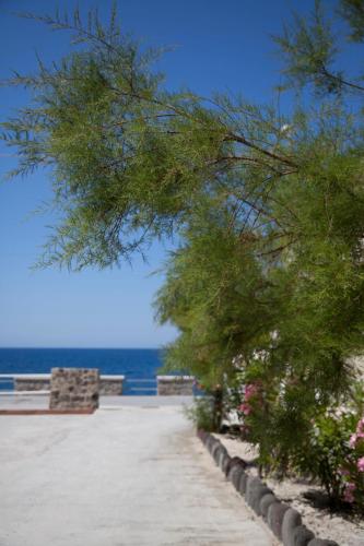 a pathway leading to the ocean with a tree at Hotel Cutimare - Aeolian Charme in Acquacalda