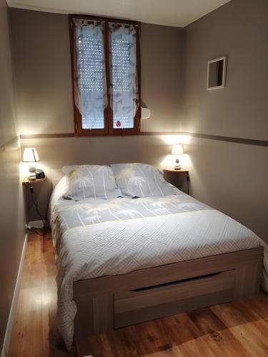 - une chambre avec un lit et deux lumières sur deux tables dans l'établissement Appartement T2 Les Pyrénées, à Bagnères-de-Bigorre