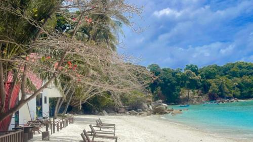 a beach with chairs and trees and the ocean at DEWATI ROOMSTAY B&B in Lang Tengah