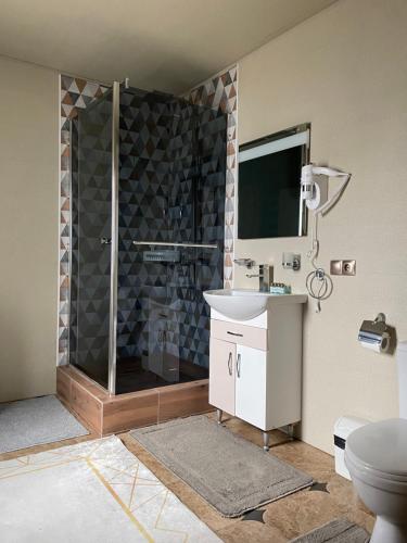 米日吉里亚Садиба Кичера的浴室配有淋浴、洗手池和马桶