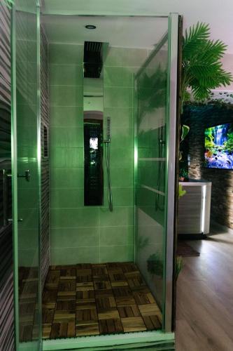 eine Dusche mit Glastür im Badezimmer in der Unterkunft Suite Jungle Room in Perpignan