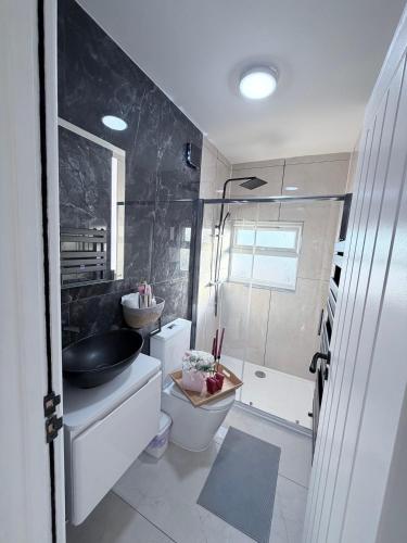 a bathroom with a toilet and a sink and a shower at Cozy Escape Garden Flat in Birmingham