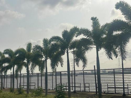 een rij palmbomen voor een hek bij Homegate Marina Waterview Apartment in Araromi