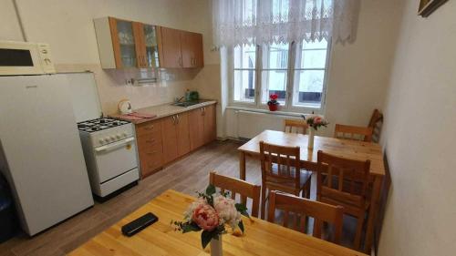 Kuchyň nebo kuchyňský kout v ubytování Hotel Děčín