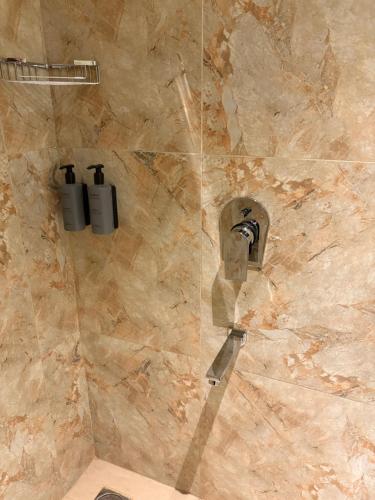 a shower with a soap dispenser in a bathroom at The Citi Residenci Hotel, Bidhannagar in Durgāpur