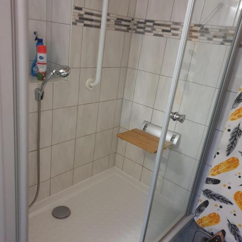 Phòng tắm tại Ferienhaus Zum Kleintierzüchter