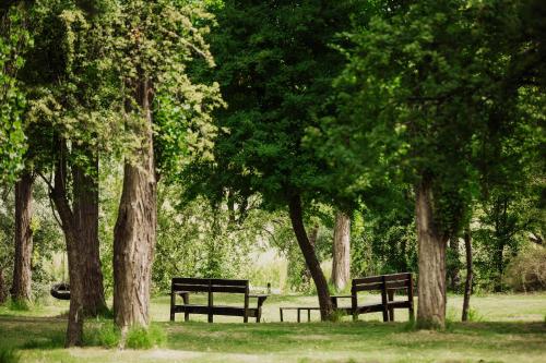 dos bancos de parque en un parque con árboles en La Casita del Bosque, en San Rafael