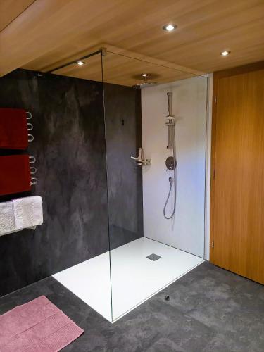 a shower with a glass door in a bathroom at Haus Kanisfluh in Au im Bregenzerwald