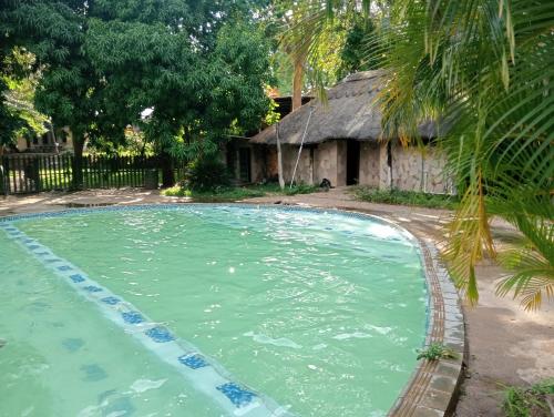 una piscina frente a una casa con techo de paja en Chirundu - Zambezi River Campsite & Swimming Pool & WiFi, en Chirundu