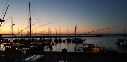 a group of boats docked in a marina at sunset at Pension Hafenblick in Barth