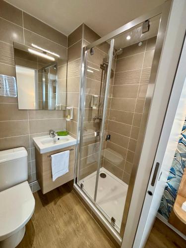 a bathroom with a shower and a toilet and a sink at Hôtel Le Pavillon de Saint-Lô in Saint Lo