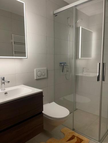 a bathroom with a shower and a toilet and a sink at Schönegg Hochparterre in Riederalp