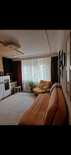 a living room with a bed and a couch at Bondar Residence in Galaţi