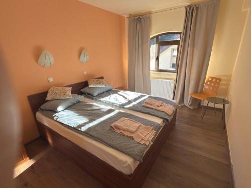 une chambre avec un grand lit dans une pièce dans l'établissement Apartment 24, à Pamporovo