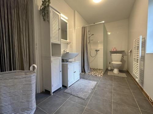 een badkamer met een toilet, een wastafel en een douche bij Maison perouge in Soustons