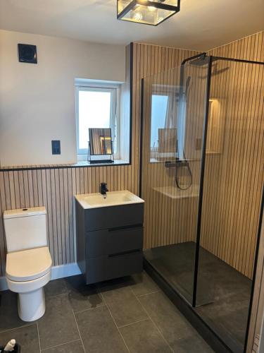 a bathroom with a toilet and a shower and a sink at The New 2 Plas Morolwg in Aberystwyth