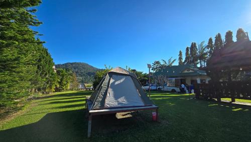 een tent op het gras in een tuin bij Phulomnum resort in Khao Kho
