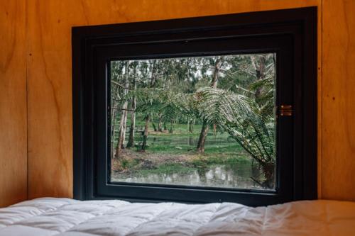 ein Schlafzimmerfenster mit Waldblick in der Unterkunft Cabana Fora in São Francisco de Paula