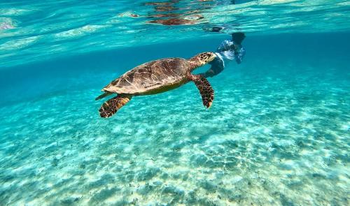 Natuurlandschap vlak bij de villa