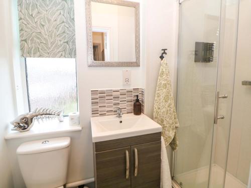 a bathroom with a toilet and a sink and a shower at Nightingale Cottage in Stafford