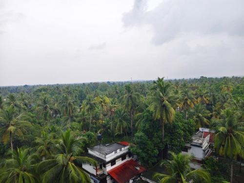 グルヴァイアールにあるSree Nandhanam Nivasのヤシの木の森の中の家の空中写真